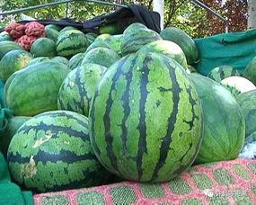 如何判断吃瓜视频的真实性,如何辨别真伪，守护网络视听安全