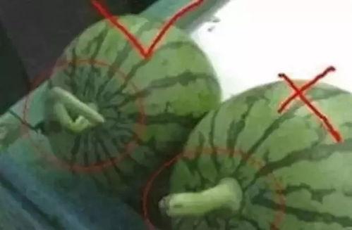 如何判断吃瓜视频的真实性,如何辨别真伪，守护网络视听安全