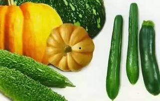 济宁金乡吃瓜视频,一场别开生面的吃瓜盛宴