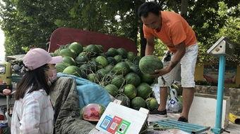 济宁金乡吃瓜视频,一场别开生面的吃瓜盛宴