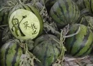 晋城吃瓜视频,揭秘当地美食文化盛宴