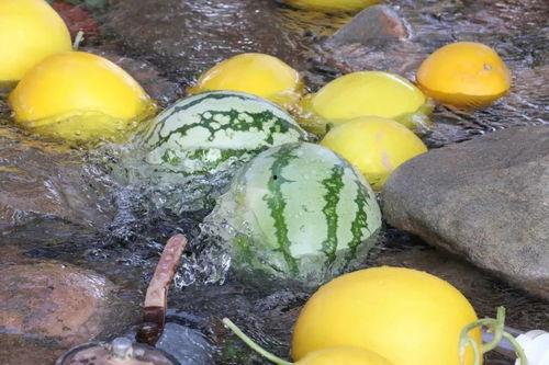 大城吃瓜视频真实,揭秘网络热传视频背后的真实故事