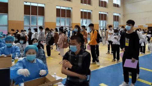 汕尾吃瓜视频最新消息,揭秘当地最新热点事件