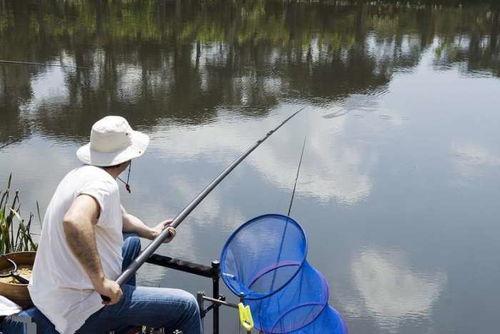 吃瓜老板钓鱼视频大全,吃瓜老板视频大全趣味盘点