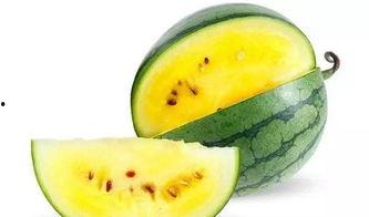 小蜜瓜吃西瓜视频,趣味互动萌翻网友