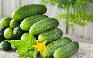 发冠吃瓜视频,网络热梗背后的文化现象与传播策略