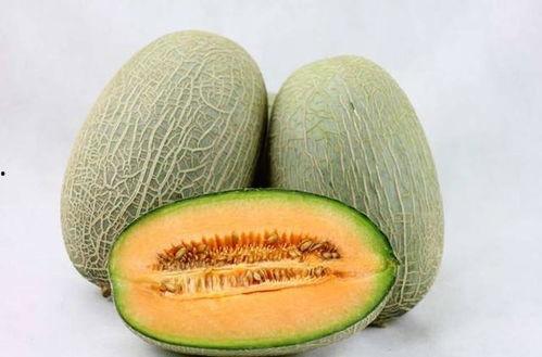 新疆姑娘吃哈密瓜视频,哈密瓜的美味之旅