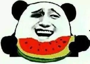 吃瓜群众都爱看的视频,揭秘娱乐圈幕后真相