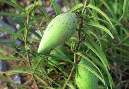 瓢瓜怎么吃啊好吃视频大全,跟随视频大全解锁烹饪新境界