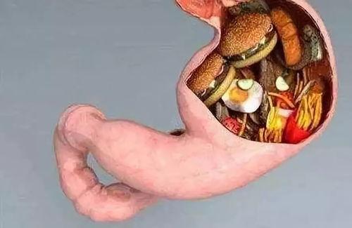 最恶心的瓜吃内脏视频,令人作呕的“吃内脏挑战”视频，道德底线何在？