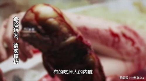 最恶心的瓜吃内脏视频,令人作呕的“吃内脏挑战”视频，道德底线何在？
