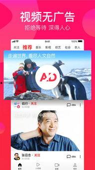 吃瓜专属视频下载免费观看,免费下载观看，尽享吃瓜专属视频