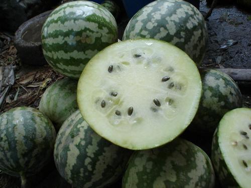 黄晶瓜怎么吃最好吃视频,视频教你如何吃出最佳口感