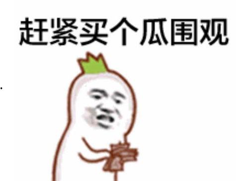 高姿态吃瓜群众视频,揭秘网络视频中的“旁观者”心态