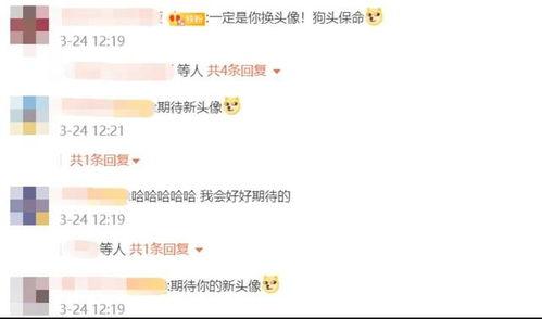 曾可妮吃瓜的视频,揭秘娱乐圈幕后故事