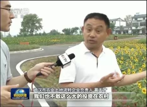 中央新闻联播吃瓜视频,揭秘吃瓜视频背后的热点事件