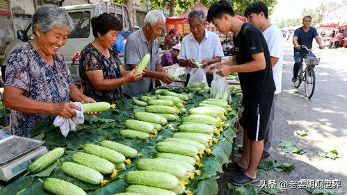 临沂热门吃瓜事件视频,一场引发热议的网络狂欢