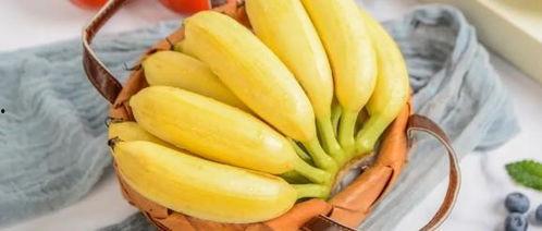 梨瓜软了可以吃吗视频教程,梨瓜软了还能吃吗？视频教程揭秘保鲜与食用技巧