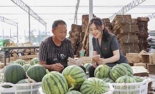 瓜田吃瓜视频完整版,揭秘视频背后的精彩故事