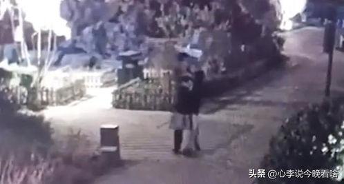 大城吃瓜事件视频完整版,揭秘视频完整版背后的真相与争议