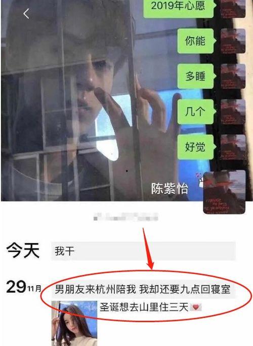 电影院吃瓜视频,揭秘电影院的“瓜田”趣事