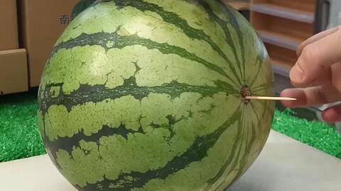 昌乐吃瓜事件视频最新,揭秘网络热议背后的真相与争议