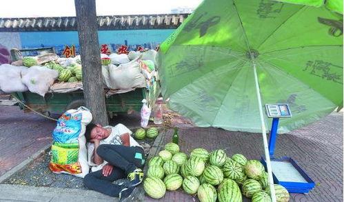 漯河吃瓜群众新闻视频,漯河街头吃瓜群众热议新闻事件