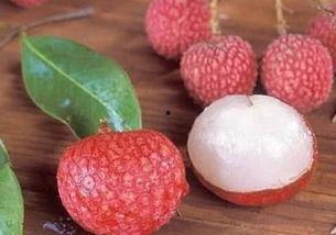 吃瓜少女爱荔枝视频网盘,吃瓜少女爱荔枝视频，带你领略荔枝的独特魅力