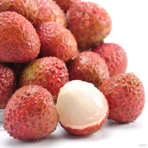 吃瓜少女爱荔枝视频网盘,吃瓜少女爱荔枝视频，带你领略荔枝的独特魅力