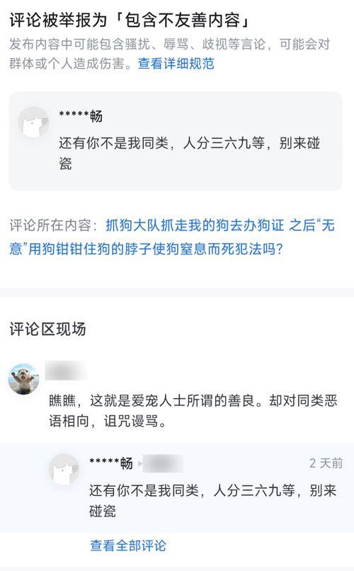网络吃瓜原视频在哪里找,探寻幕后制作与传播路径