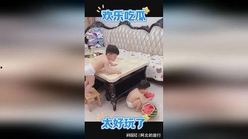 萌娃动态吃瓜视频下载,萌态可掬萌翻网友