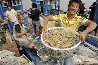 渤海国际吃瓜事件视频,一场网络热议的幕后真相揭秘