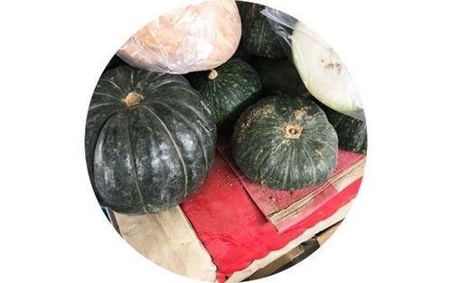 锤头瓜怎样吃最好吃视频,视频教你如何吃出最佳口感