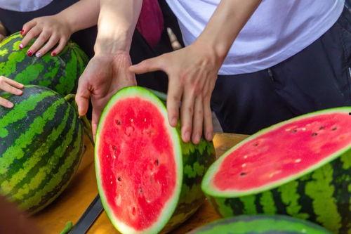 有吃瓜视频的大学,大学生吃瓜视频引发热议