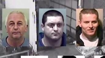 真实故事吃瓜视频,从吃瓜视频到真实故事背后的感人历程