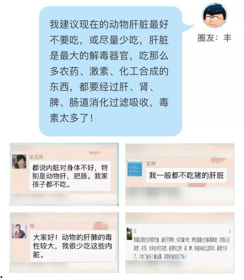 吃内脏的瓜视频聊天记录,揭秘吃内脏的神奇魅力，视频聊天记录曝光！