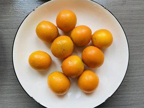 美好一天吃瓜视频大全