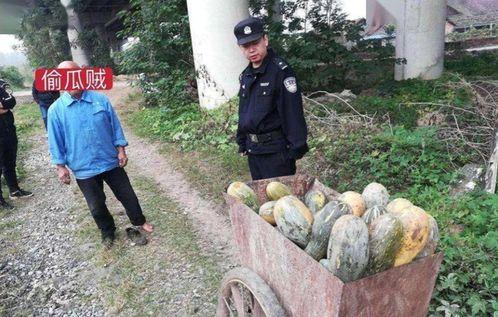 最新缅甸吃瓜事件视频大全,揭秘幕后真相与热点瞬间