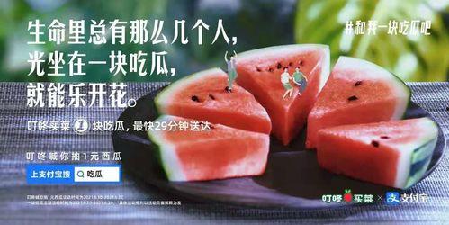 吃瓜叮咚买菜视频大全播放,趣味购物瞬间，尽享生活乐趣