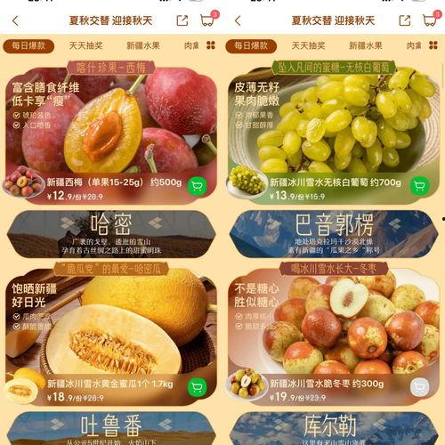 吃瓜叮咚买菜视频大全播放,趣味购物瞬间，尽享生活乐趣