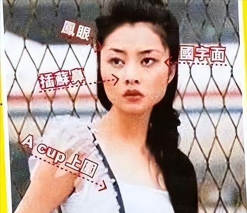 逆天改命吃瓜视频下载,揭秘吃瓜视频背后的下载秘密