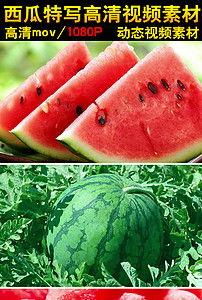 吃瓜大赛场景视频素材,一场视觉盛宴的狂欢现场