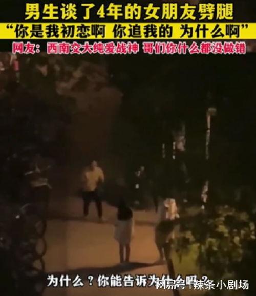 不问离别吃瓜版原视频,揭秘视频背后的趣味与温情