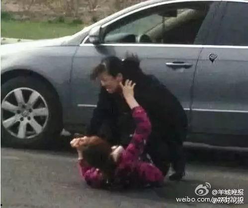 浙江撞车吃瓜事件视频播放,视频曝光引发网友热议